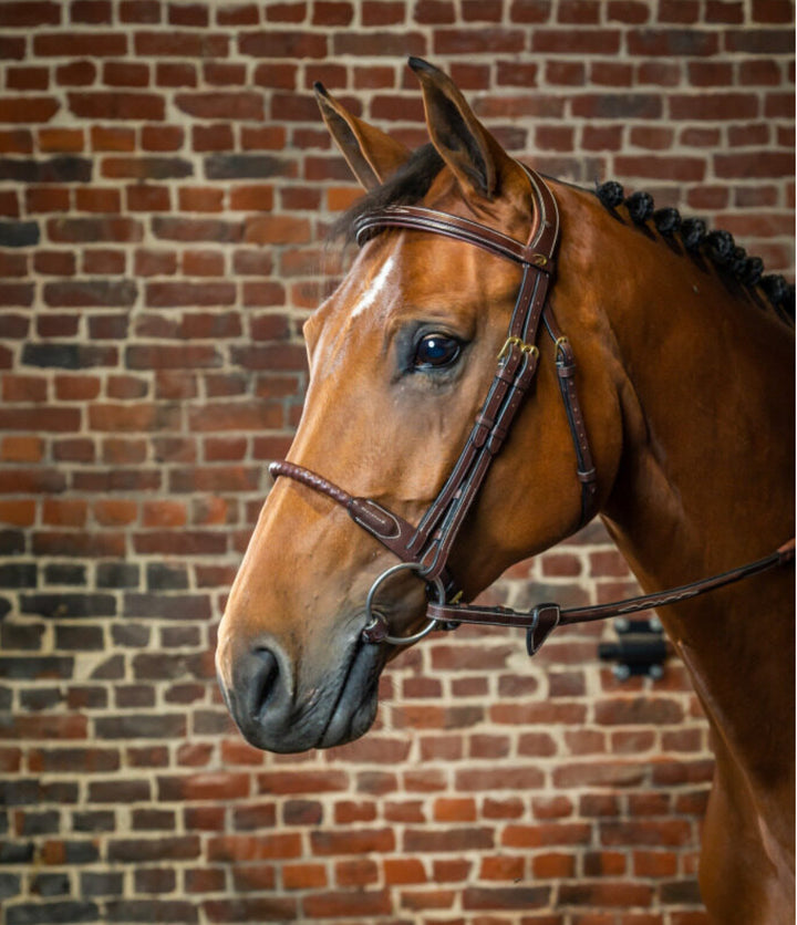 DY'ON LEATHER COVERED ROPE NOSEBAND BRIDLE