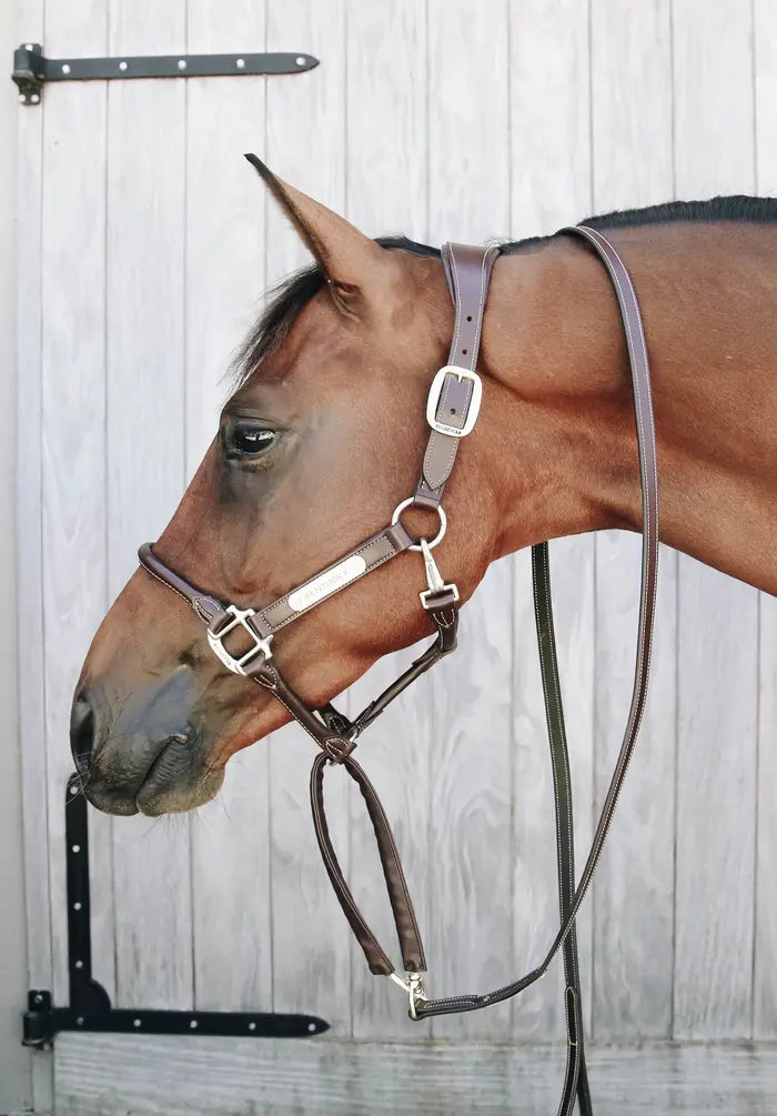 KENTUCKY LEATHER COVERED CHAIN LEAD