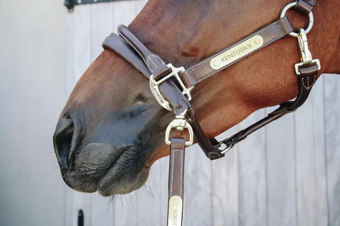 KENTUCKY LEATHER COVERED CHAIN LEAD