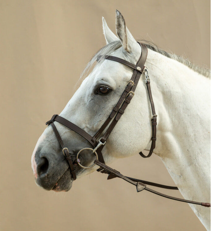 DY'ON FLAT LEATHER BRIDLE