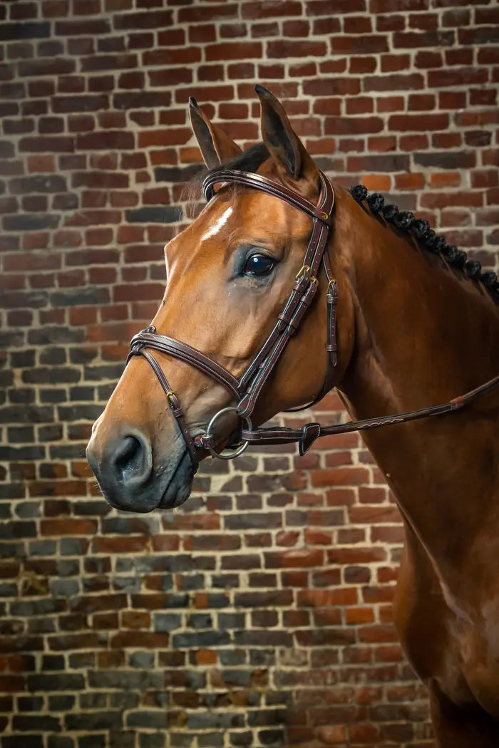 DY'ON FLASH NOSEBAND BRIDLE