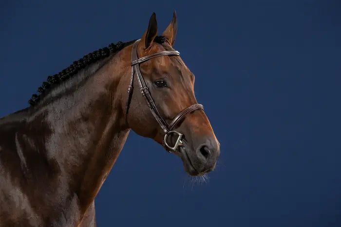 DY'ON CAVESSON NOSEBAND BRIDLE