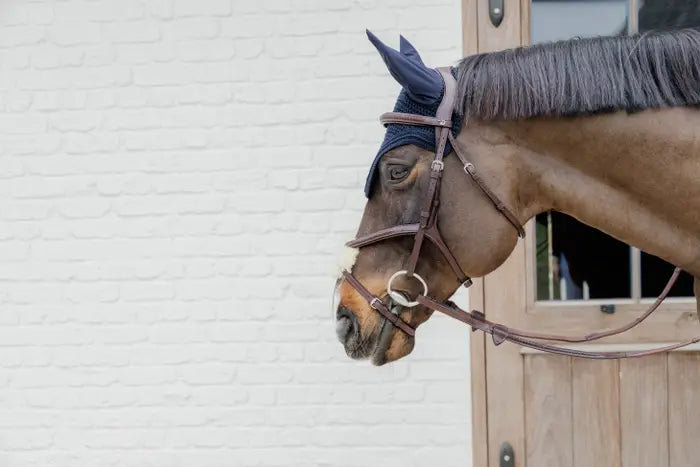 DY'ON PLAITED FIGURE 8 BRIDLE