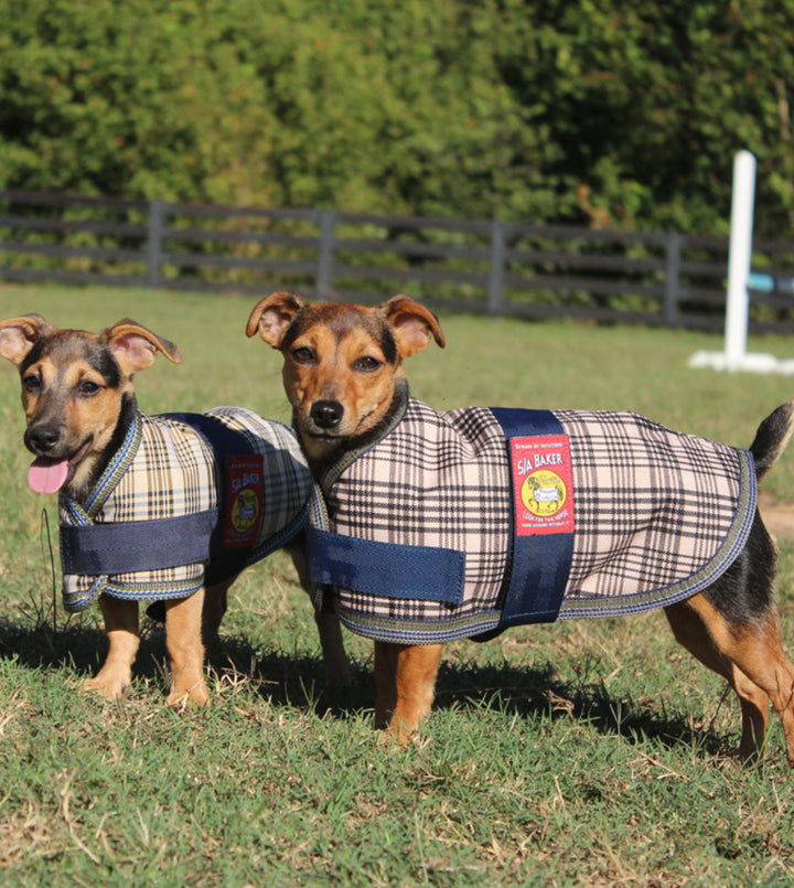 5/A Baker® Dog Blanket