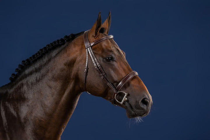 DY'ON WIDE NOSEBAND HUNTER BRIDLE