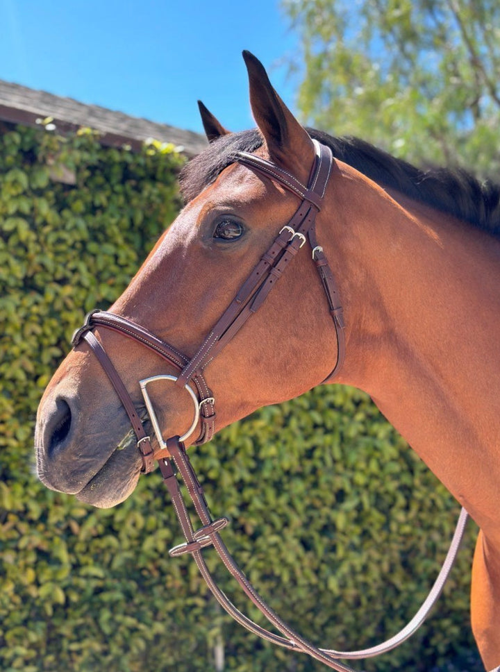 HOPLA FRENCH NOSEBAND BRIDLE