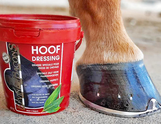 KEVIN BACON’S HOOF DRESSING ORIGINAL