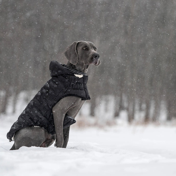 GF PET CLOUD PARKA