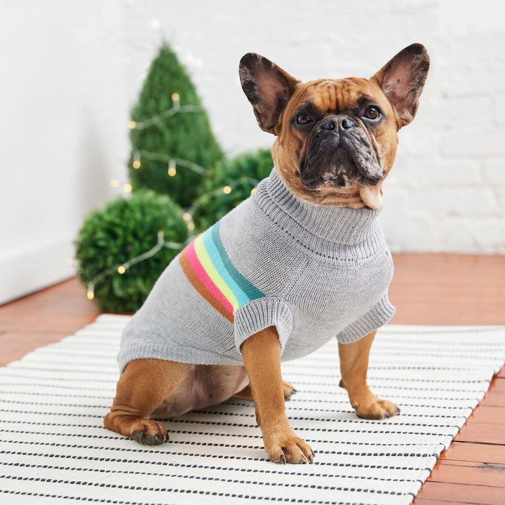 GF PET RETRO SWEATER