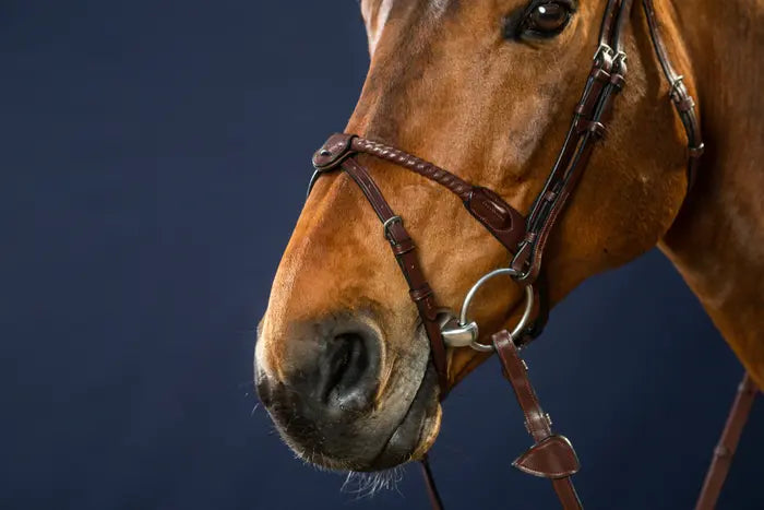 DY'ON LEATHER COVERED ROPE NOSEBAND BRIDLE