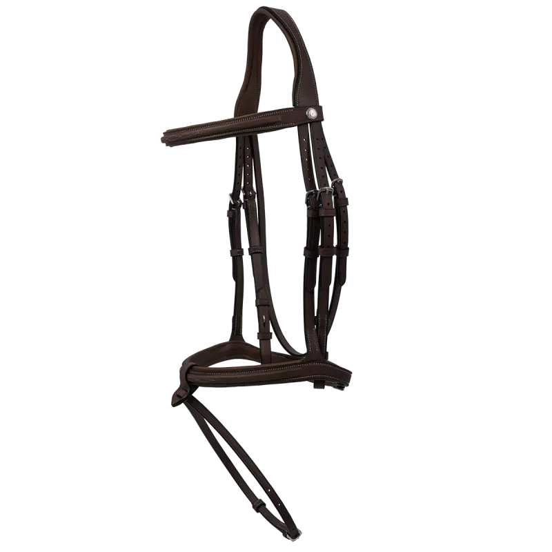 BUTET Premium Flash Noseband Bridle