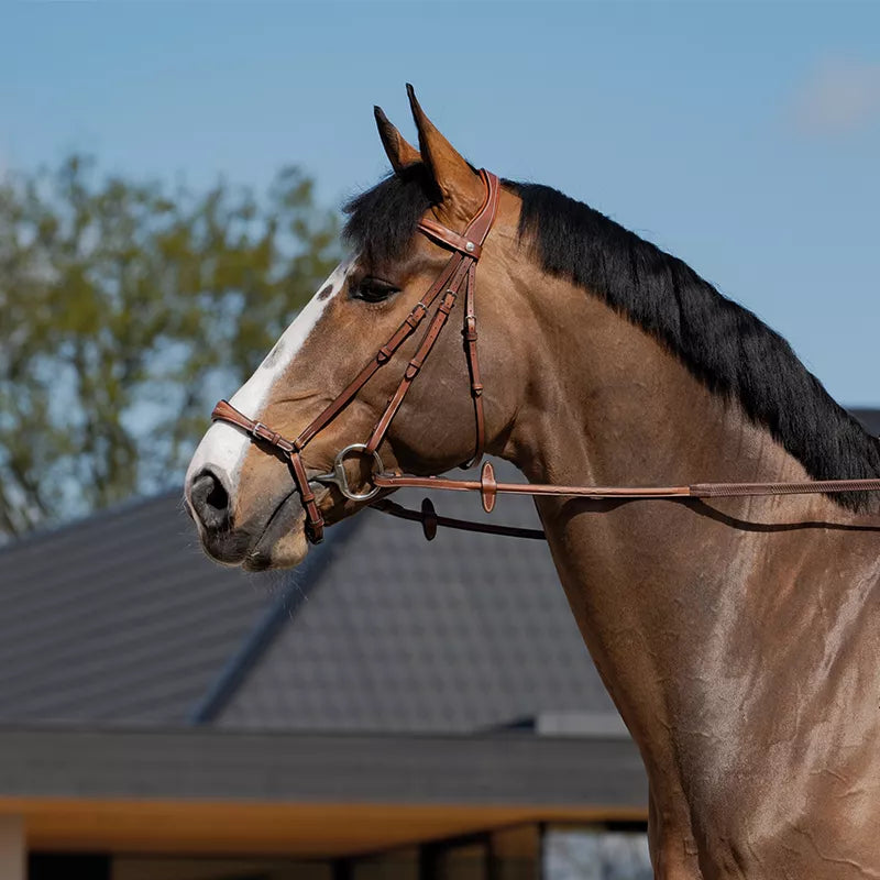 BUTET Premium Drop noseband Bridle