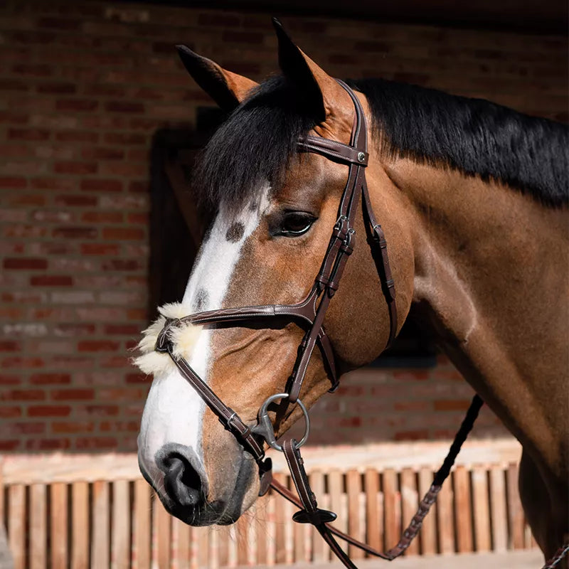 BUTET Premium Figure 8 noseband Bridle